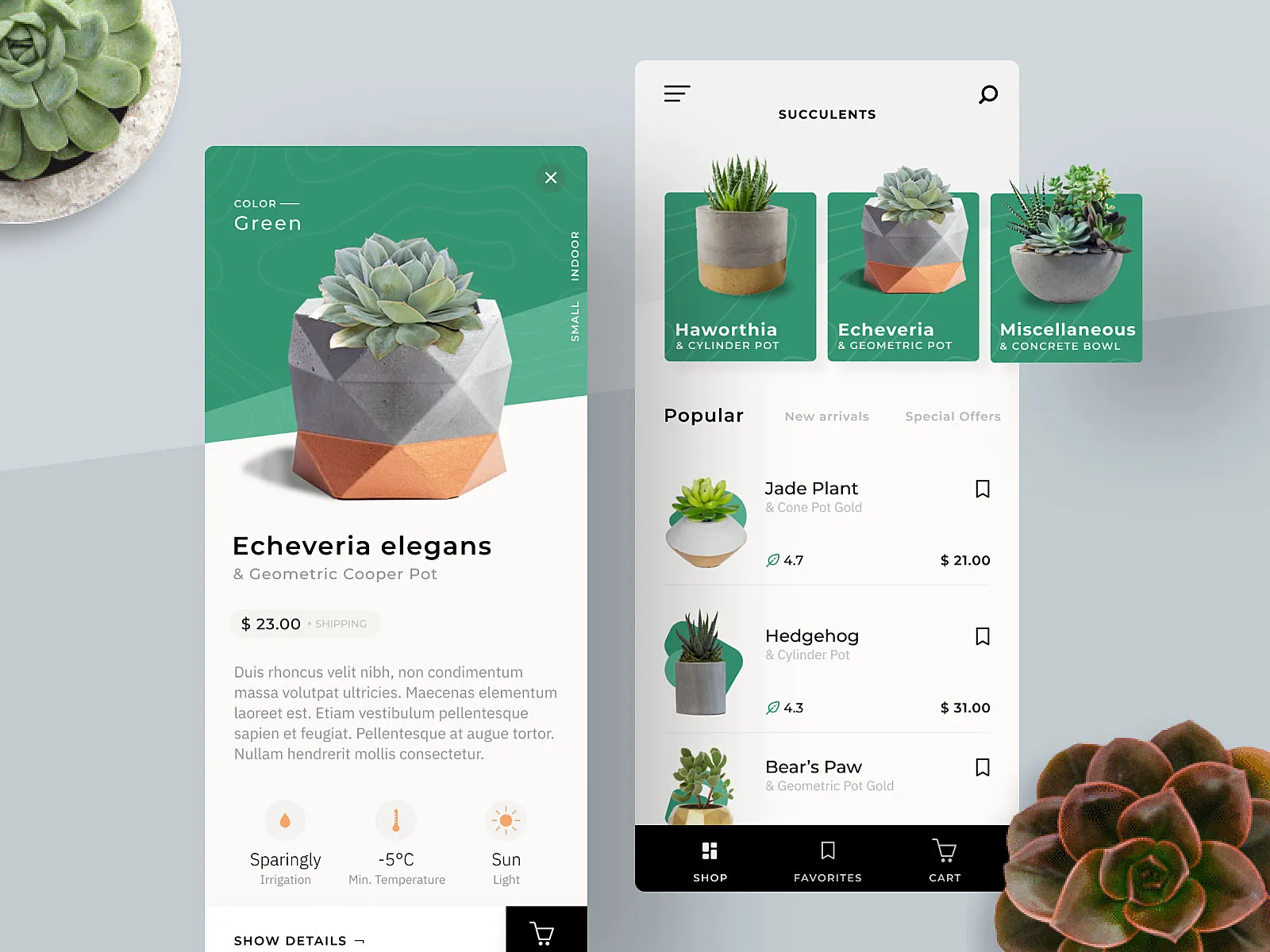 Example dribbble shot: plant app